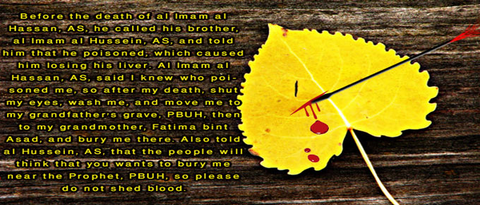  The Fourth Infallible: The Second Imam Al-Hasan Ibn Ali Al-Mujtaba (Peace be on him)