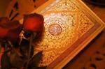 تحقيق في الحروف المقطعة في القرآن‌