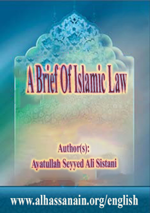 A Brief Of Islamic Law