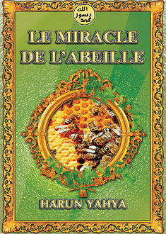 LE MIRACLE DE L'ABEILLE