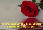 Fatima (Salut Sur Elle), Epouse Fidèle de l'Emir des Croyants (AS)