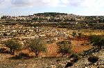Tanah yang Dijanjikan Itu Hanya Mitos (Masalah Tanah Palestina)