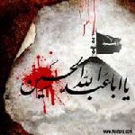 الذين قتلوا الحسين عليه السلام هم شيعته